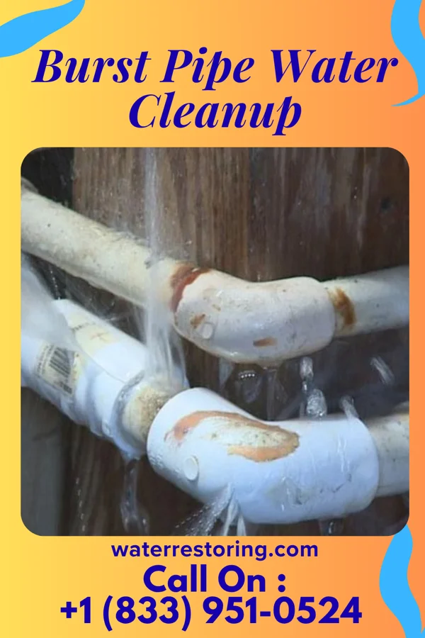 Burst Pipe Water Cleanup in Ringwood, OK